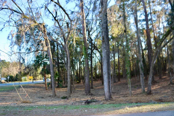 $395,000 | Xx Xx Shiver Road, Monticello, FL 32344