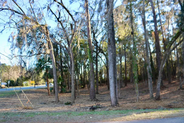 $395,000 | Xx Xx Shiver Road, Monticello, FL 32344