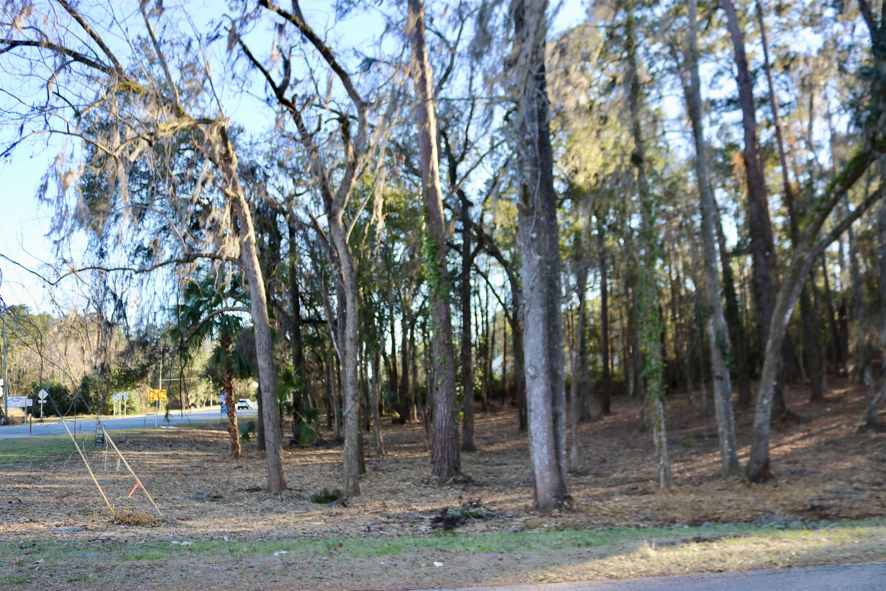 Xx Xx Shiver Road Monticello, FL 32344 - Photo 13 of 19