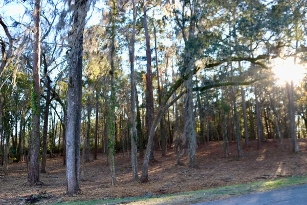 $395,000 | Xx Xx Shiver Road, Monticello, FL 32344
