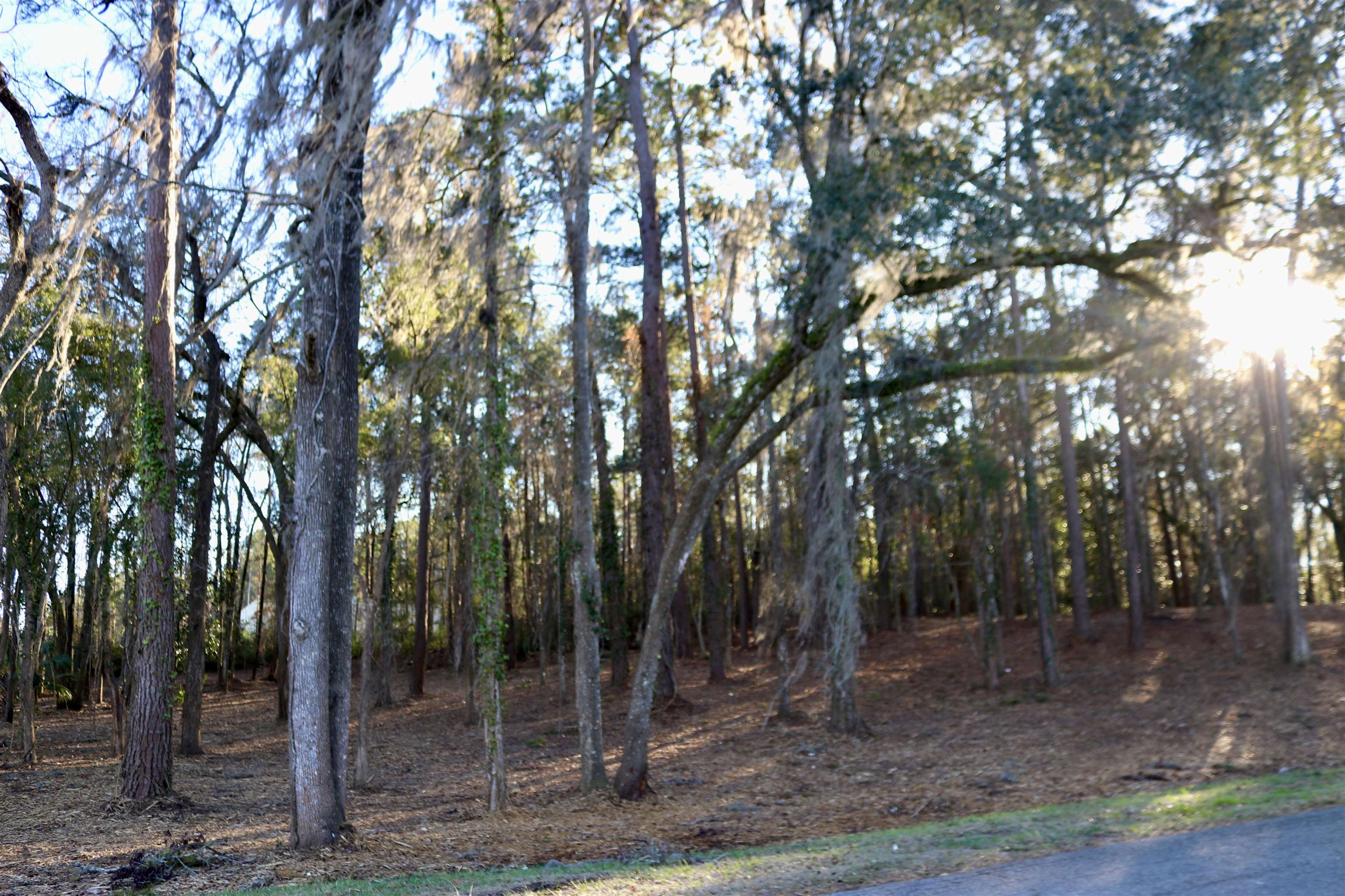 Xx Xx Shiver Road Monticello, FL 32344 - Photo 14 of 19