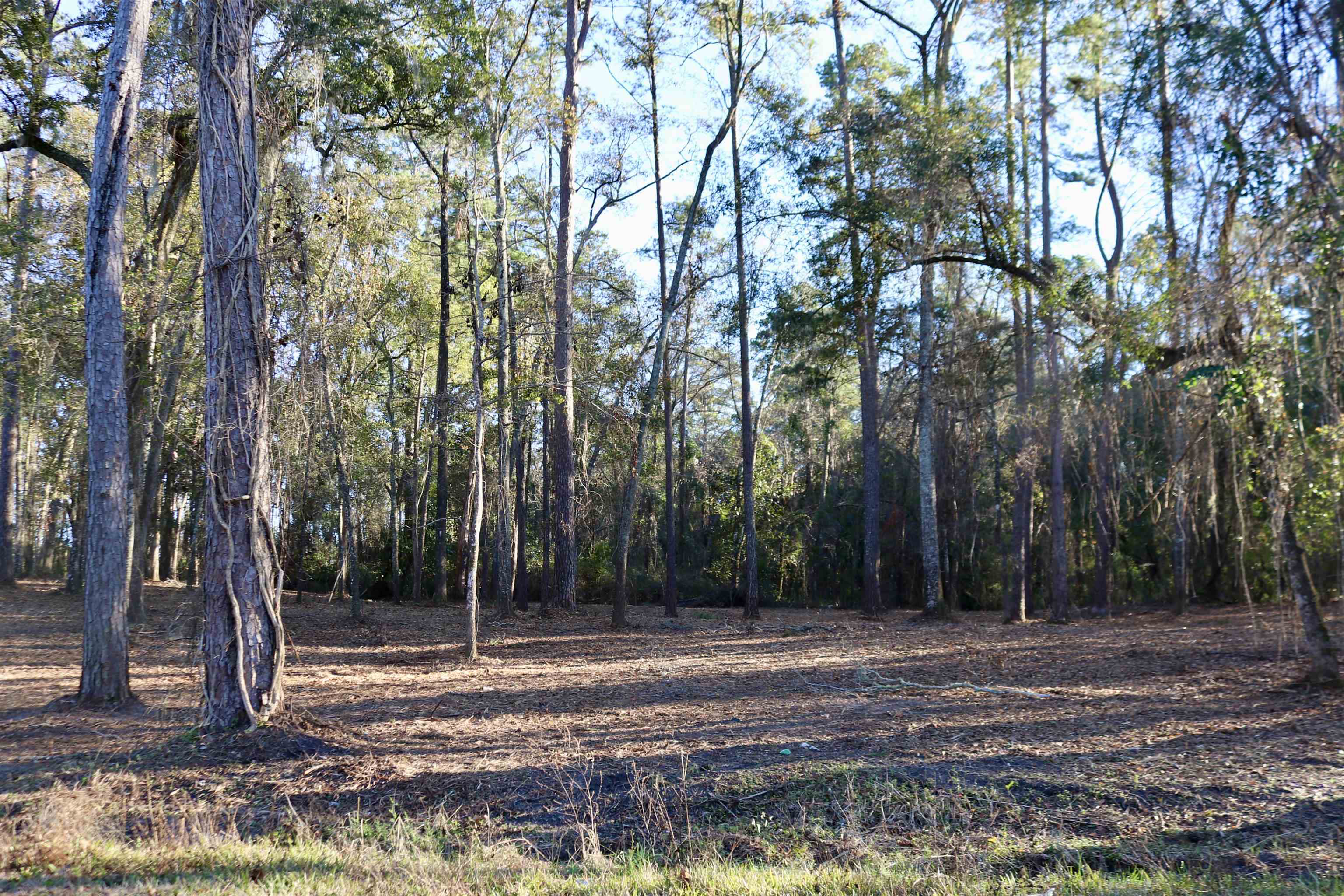 Xx Xx Shiver Road Monticello, FL 32344 - Photo 2 of 19