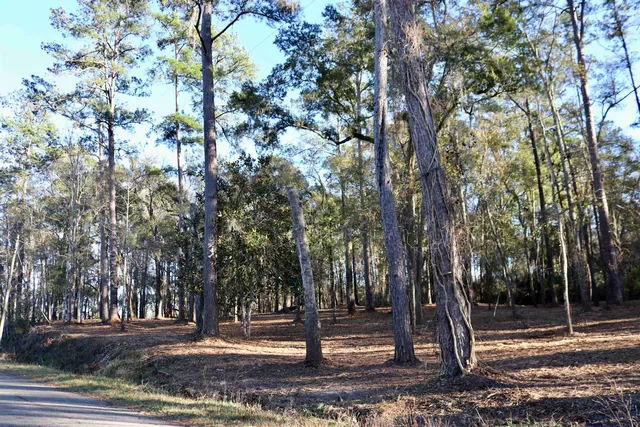 $395,000 | Xx Xx Shiver Road, Monticello, FL 32344