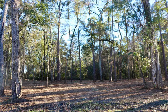 $395,000 | Xx Xx Shiver Road, Monticello, FL 32344