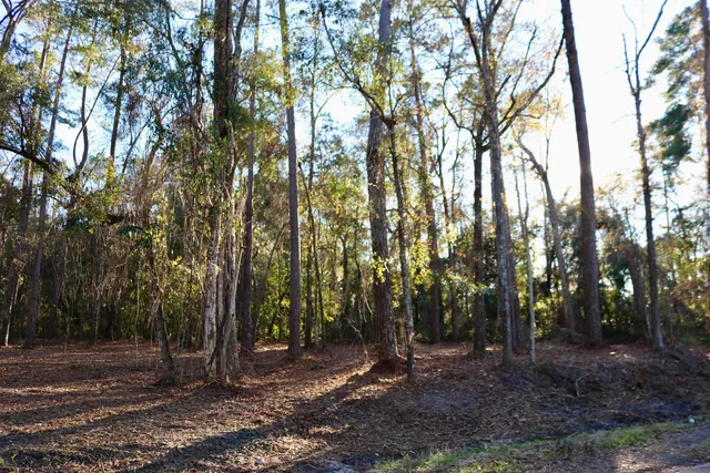 $395,000 | Xx Xx Shiver Road, Monticello, FL 32344