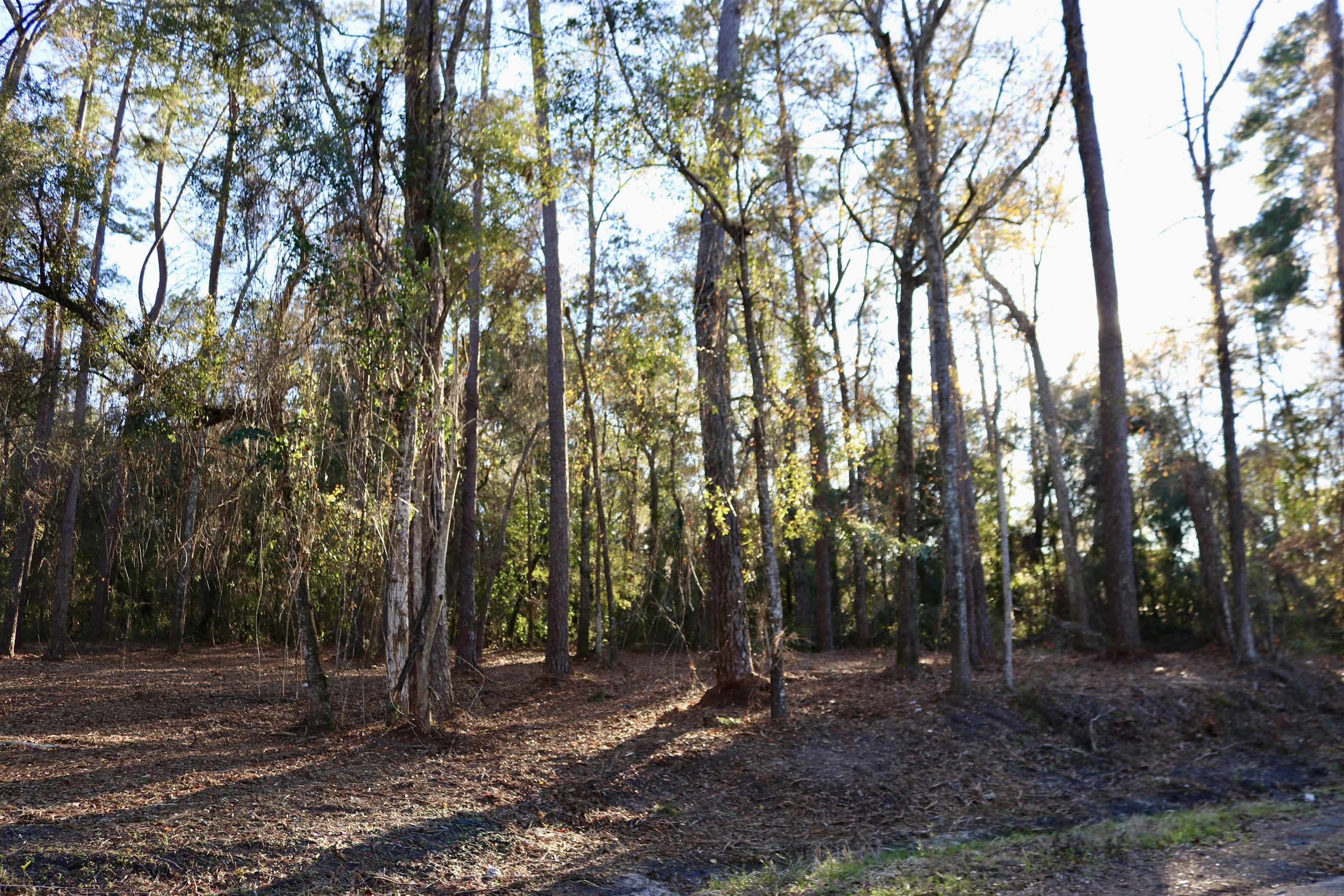 Xx Xx Shiver Road Monticello, FL 32344 - Photo 6 of 19