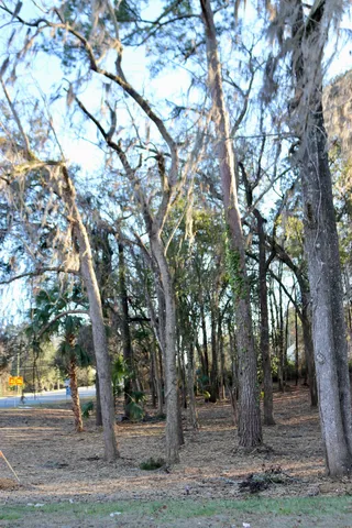 $395,000 | Xx Xx Shiver Road, Monticello, FL 32344