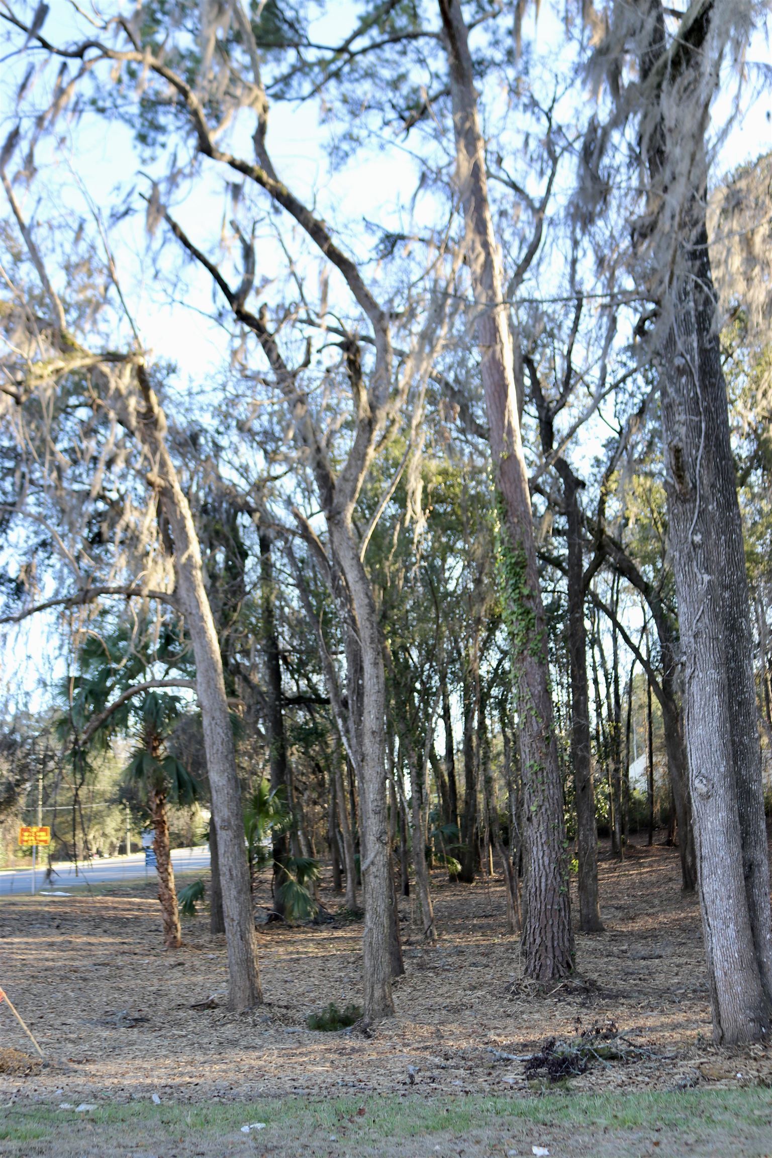 Xx Xx Shiver Road Monticello, FL 32344 - Photo 7 of 19