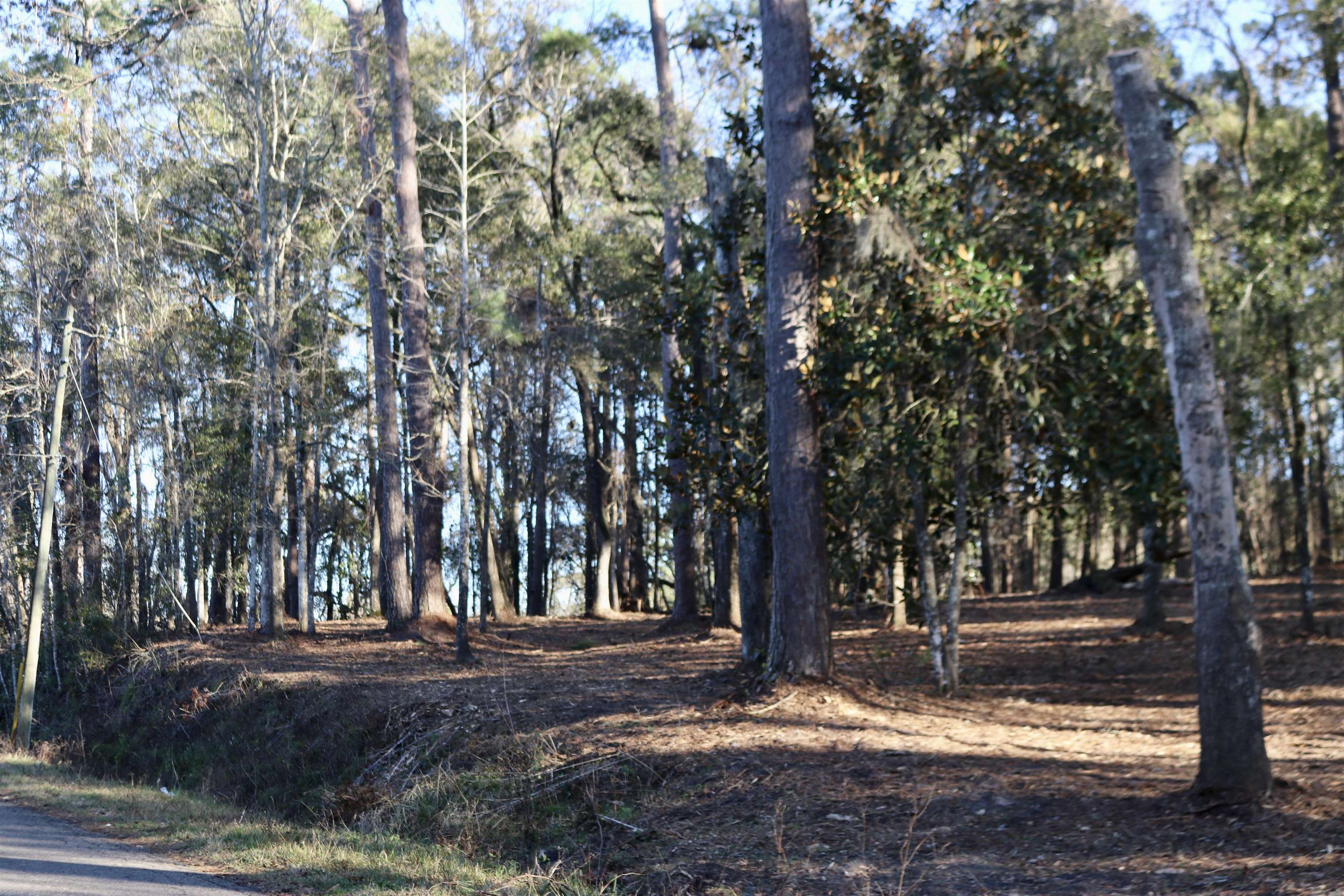 Xx Xx Shiver Road Monticello, FL 32344 - Photo 8 of 19