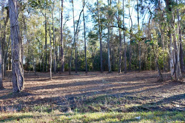 $395,000 | Xx Xx Shiver Road, Monticello, FL 32344