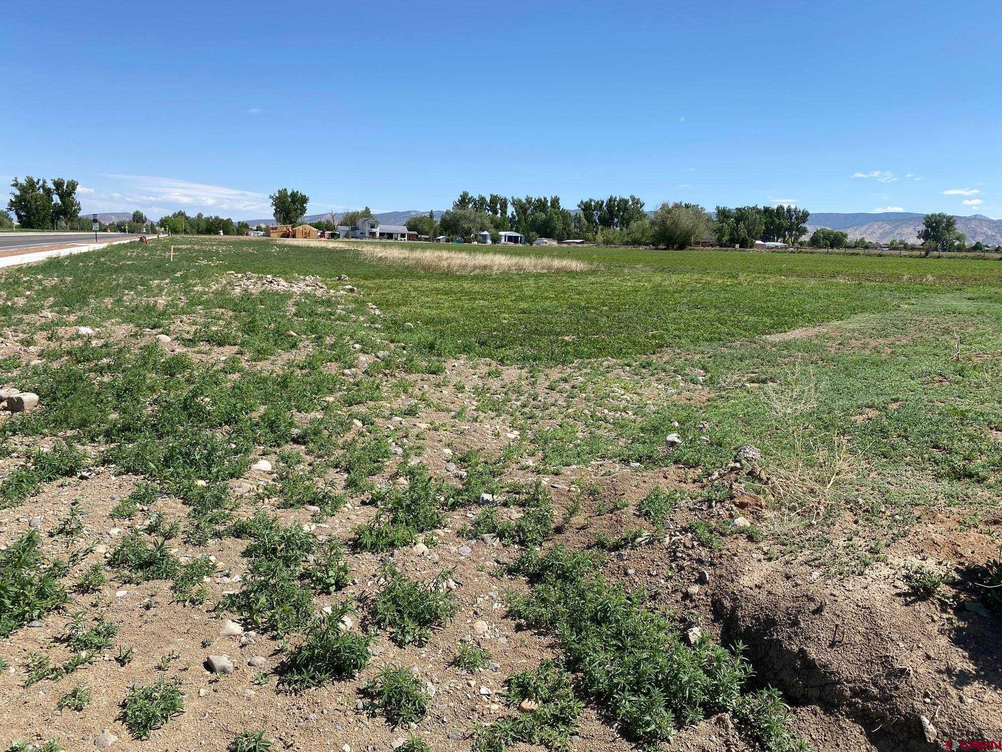 Lot 12 6700th Road Montrose, CO 81401 - Photo 8 of 8 Gallery Image 8