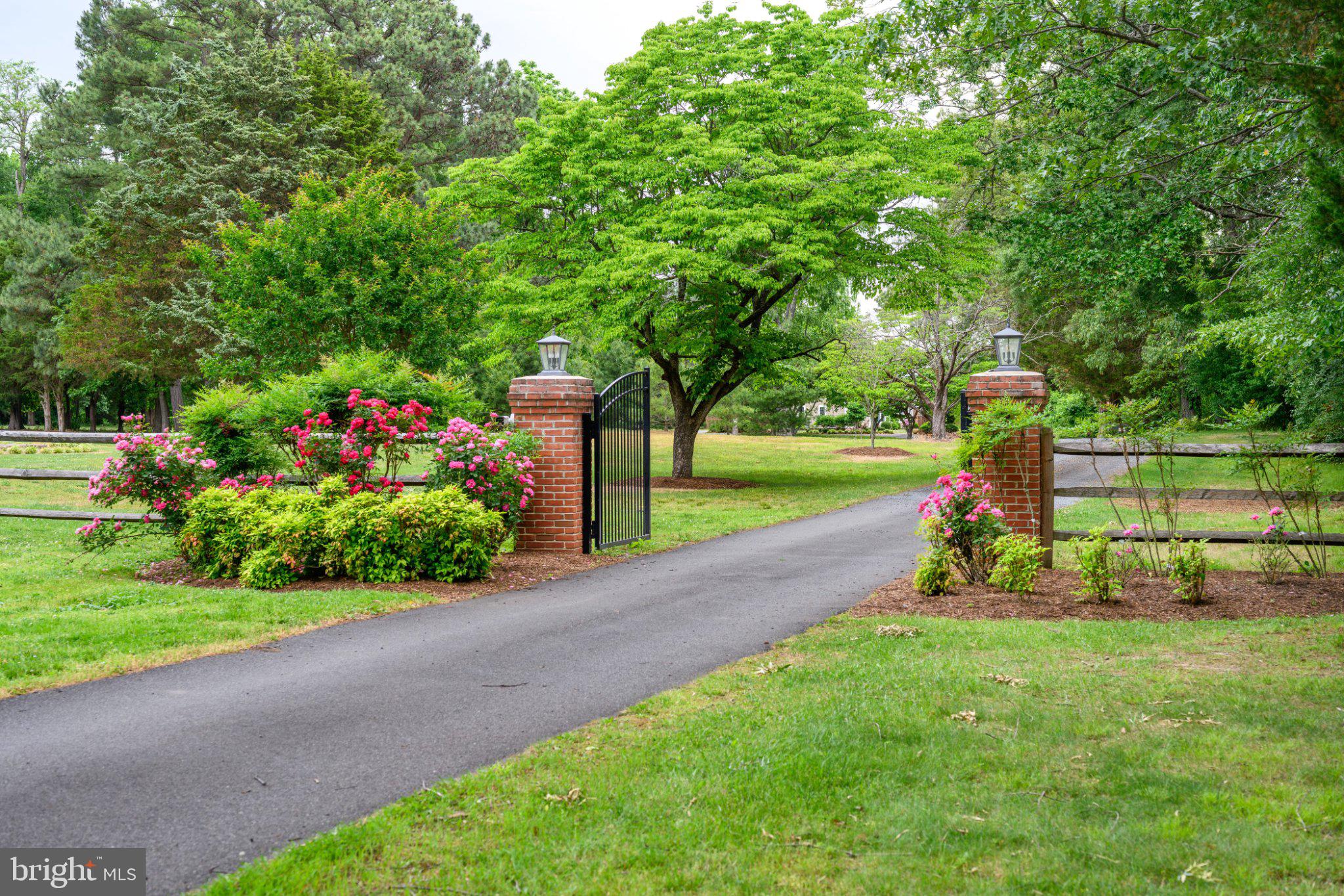25440 Learman Road Chestertown, MD 21620 - Photo 4 of 70