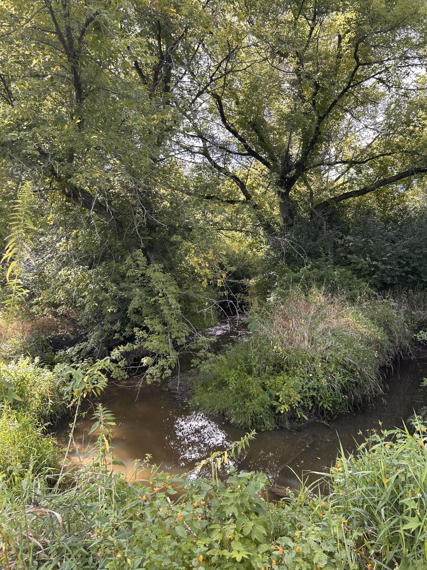 14801 60th Street Bristol, WI 53104 - Photo 33 of 45 SFR Exteriora