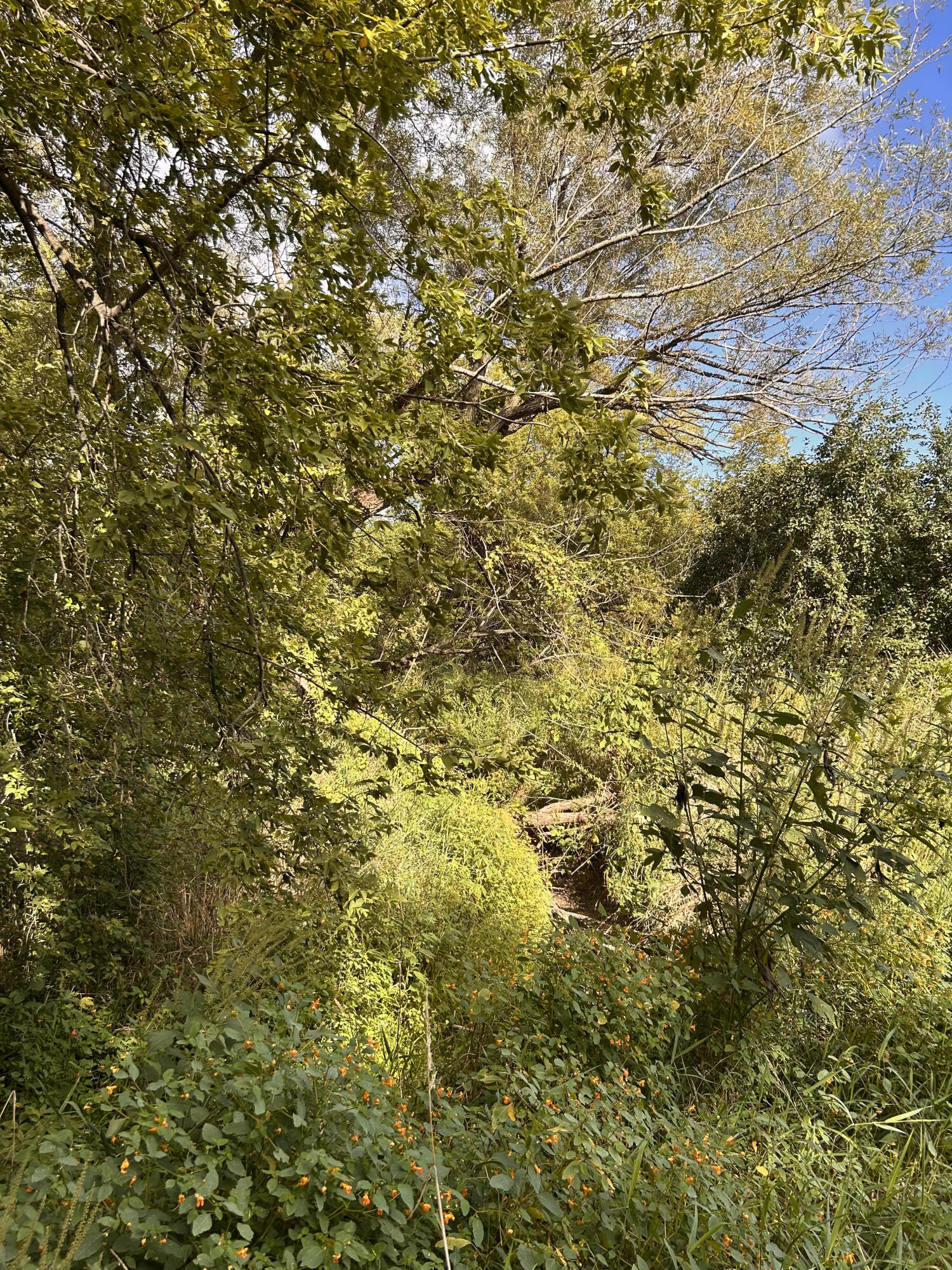 14801 60th Street Bristol, WI 53104 - Photo 34 of 45 SFR Exteriorb