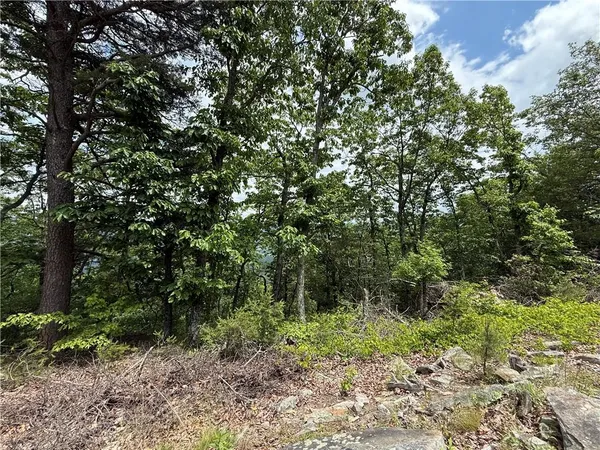 $135,000 | 157 Hwy Menlo Ga 30731, Waycross, GA 31503