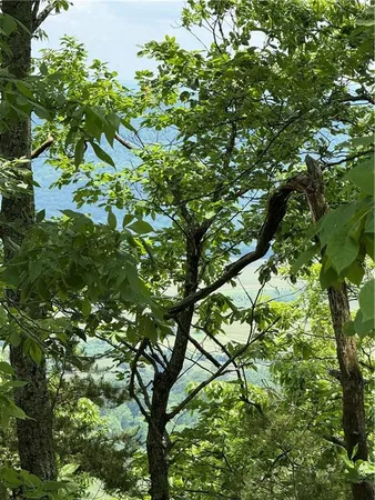 $135,000 | 157 Hwy Menlo Ga 30731, Waycross, GA 31503