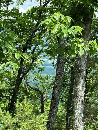 $135,000 | 157 Hwy Menlo Ga 30731, Waycross, GA 31503