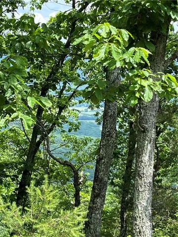 $135,000 | 157 Hwy Menlo Ga 30731, Waycross, GA 31503