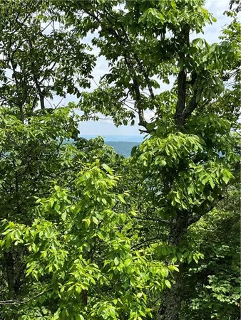 $135,000 | 157 Hwy Menlo Ga 30731, Waycross, GA 31503