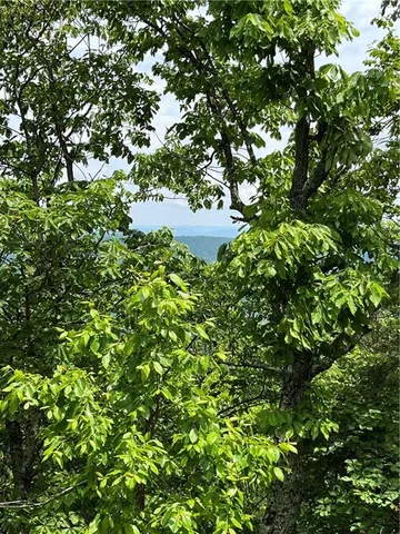 $135,000 | 157 Hwy Menlo Ga 30731, Waycross, GA 31503