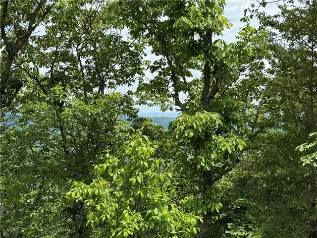 $135,000 | 157 Hwy Menlo Ga 30731, Waycross, GA 31503