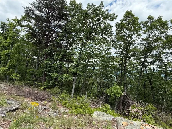 $135,000 | 157 Hwy Menlo Ga 30731, Waycross, GA 31503