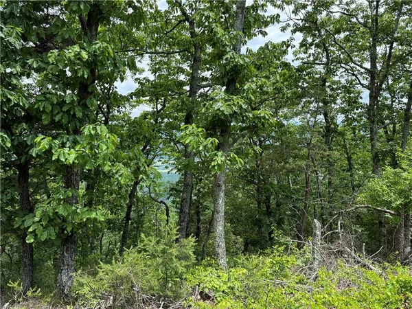 $135,000 | 157 Hwy Menlo Ga 30731, Waycross, GA 31503