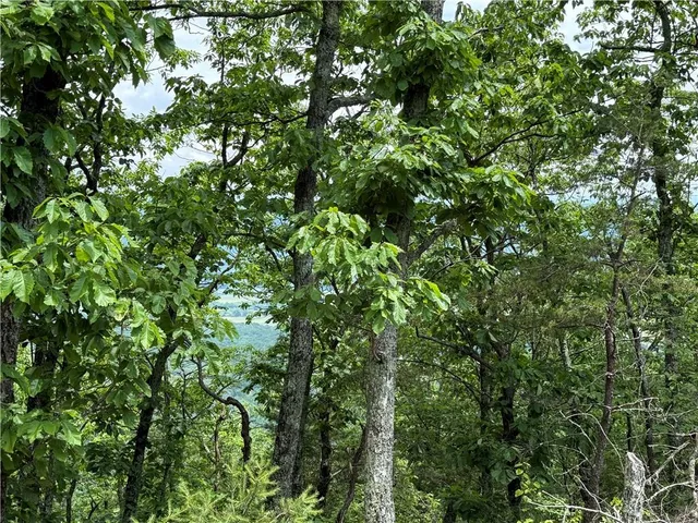 $135,000 | 157 Hwy Menlo Ga 30731, Waycross, GA 31503