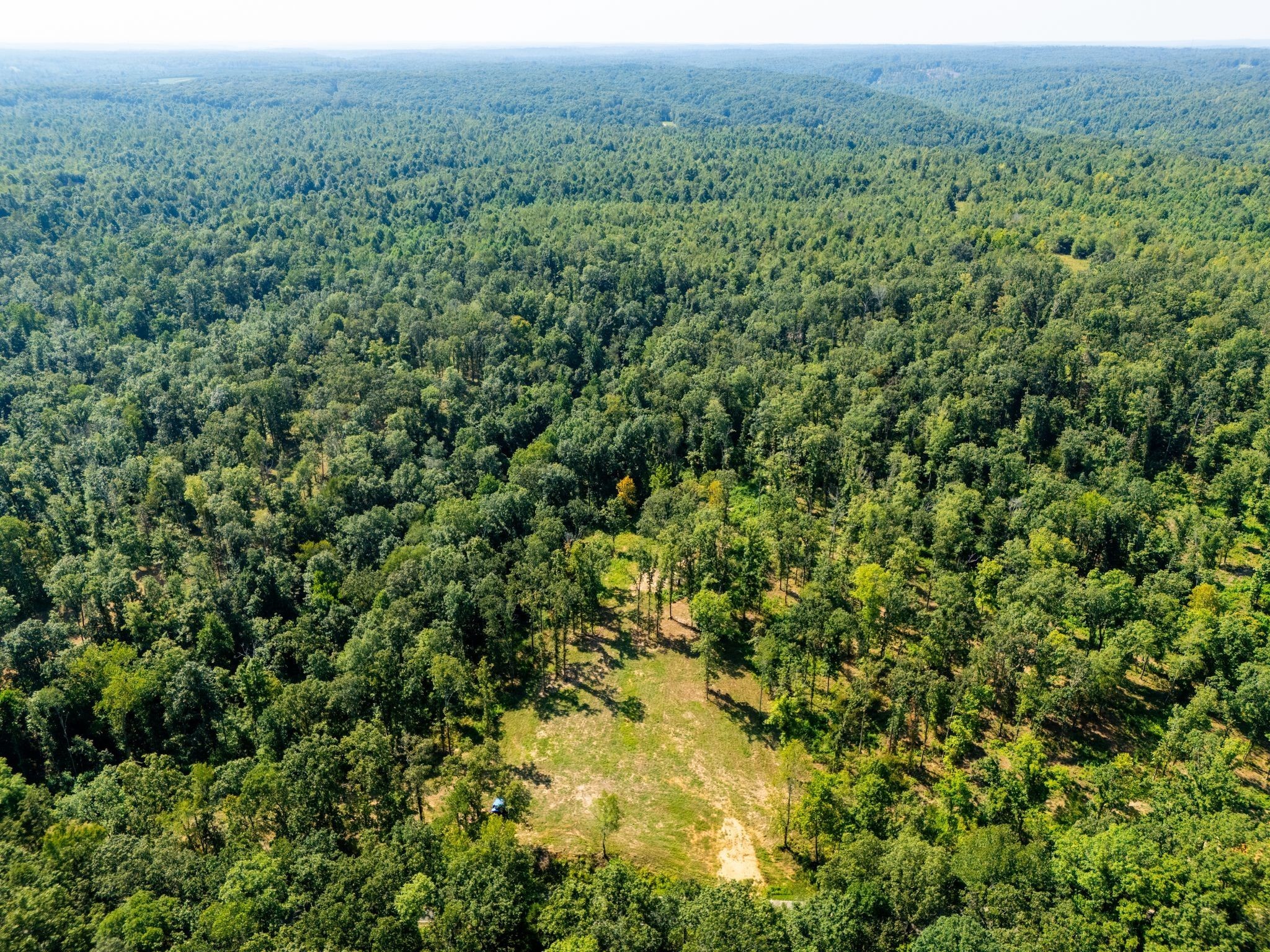 425 Dyer Road Hurricane Mills, TN 37078 - Photo 13 of 36 a view of a large yard with lots of green space