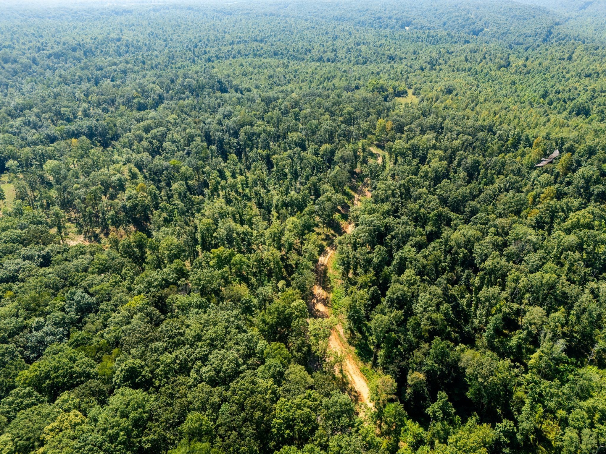 425 Dyer Road Hurricane Mills, TN 37078 - Photo 14 of 36