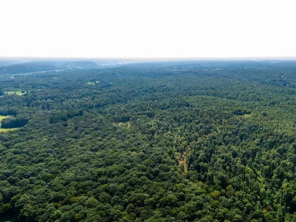 an aerial view of residential house and green space