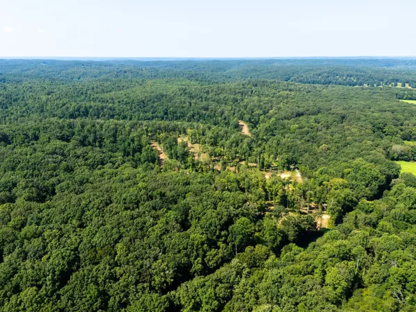 a view of a green field with lots of bushes