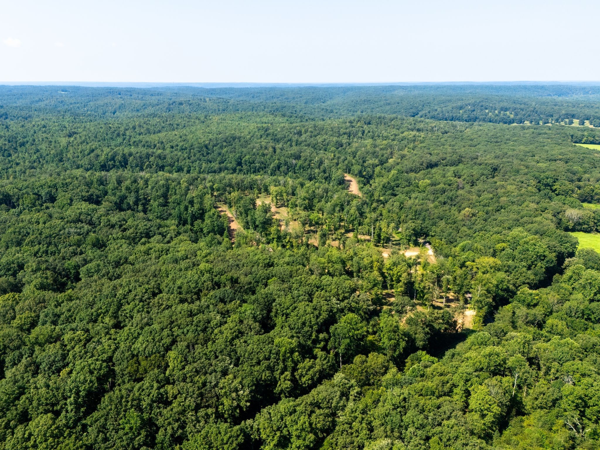 425 Dyer Road Hurricane Mills, TN 37078 - Photo 10 of 36 a view of a green field with lots of bushes