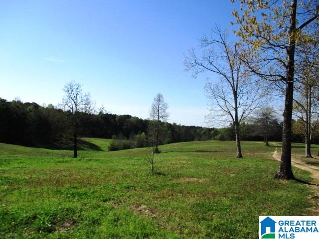 6971 Highway 24 Oneonta, AL 35121 - Photo 30 of 45