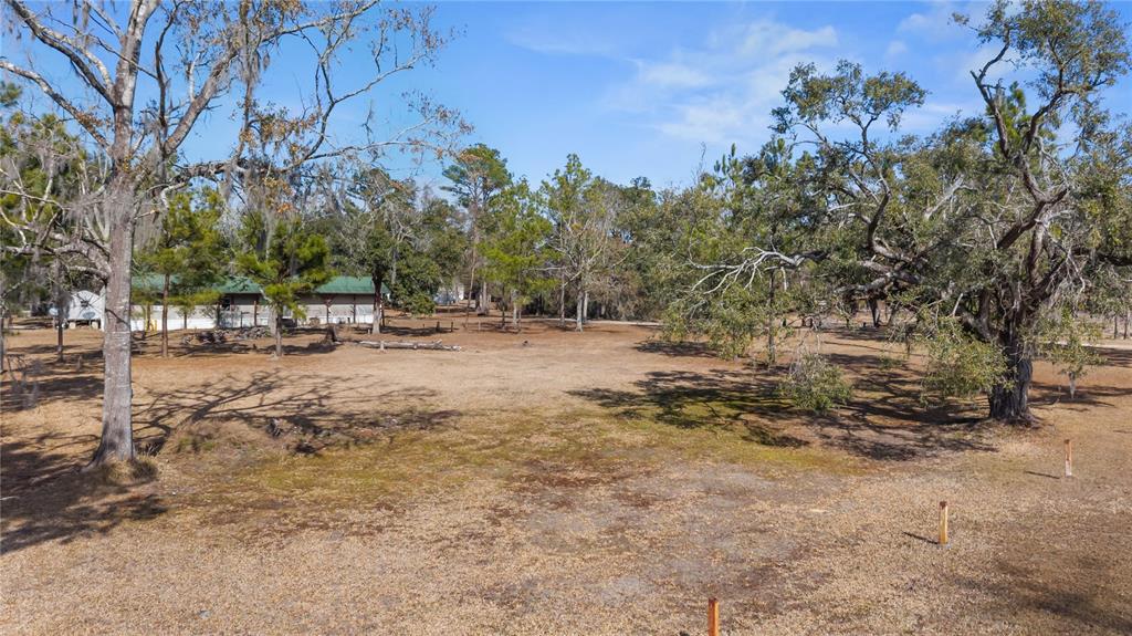 1650 Lyman Hendry Road, Unit 2 Perry, FL 32347 - Photo 17 of 26 a view of road with large trees