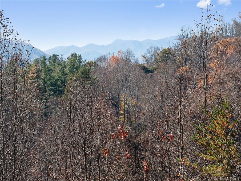 182 Winding Ridge Drive Sylva, NC 28779 - Photo 22 of 24