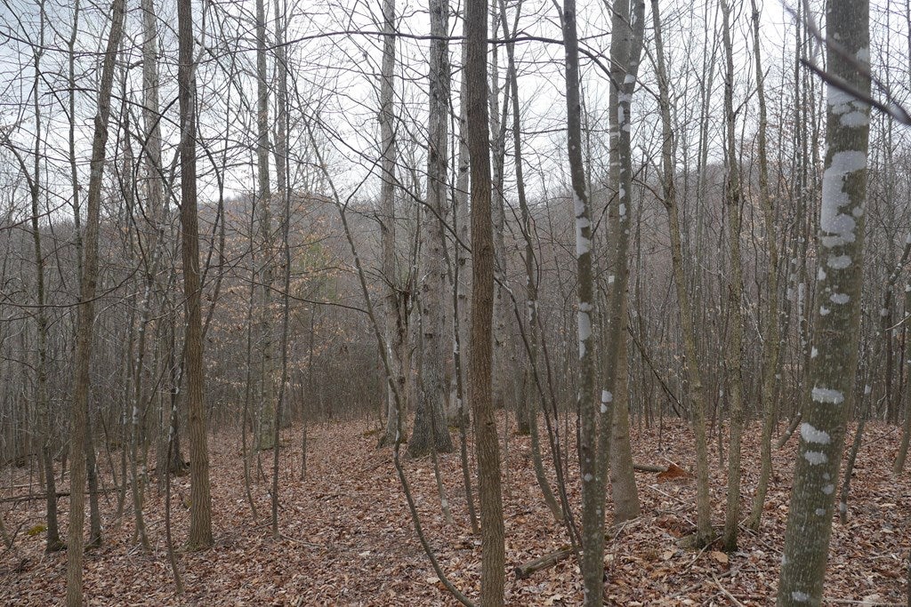 Tbd Old Mill Road, Unit 23 Glade Spring, VA 24340 - Photo 18 of 32 Gallery Image 18