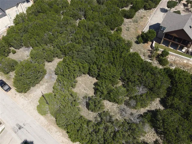 a view of a tree with a yard