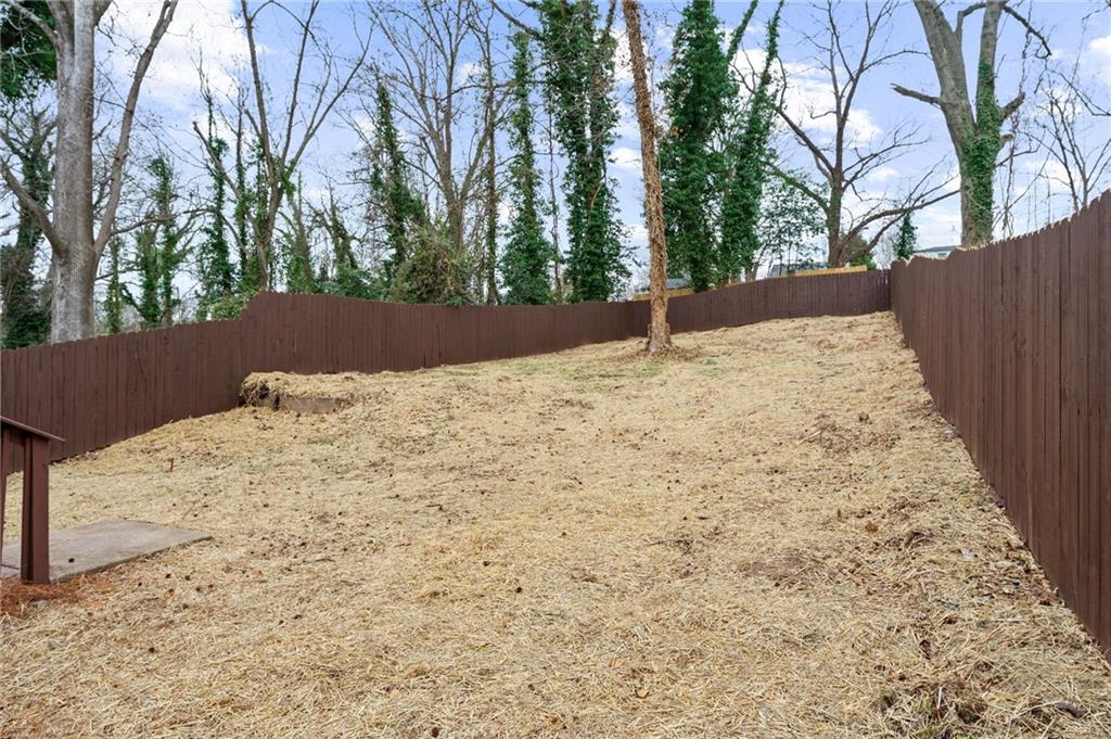 731 Dill Avenue Southwest Atlanta, GA 30310 - Photo 6 of 25 a view of a backyard of the house