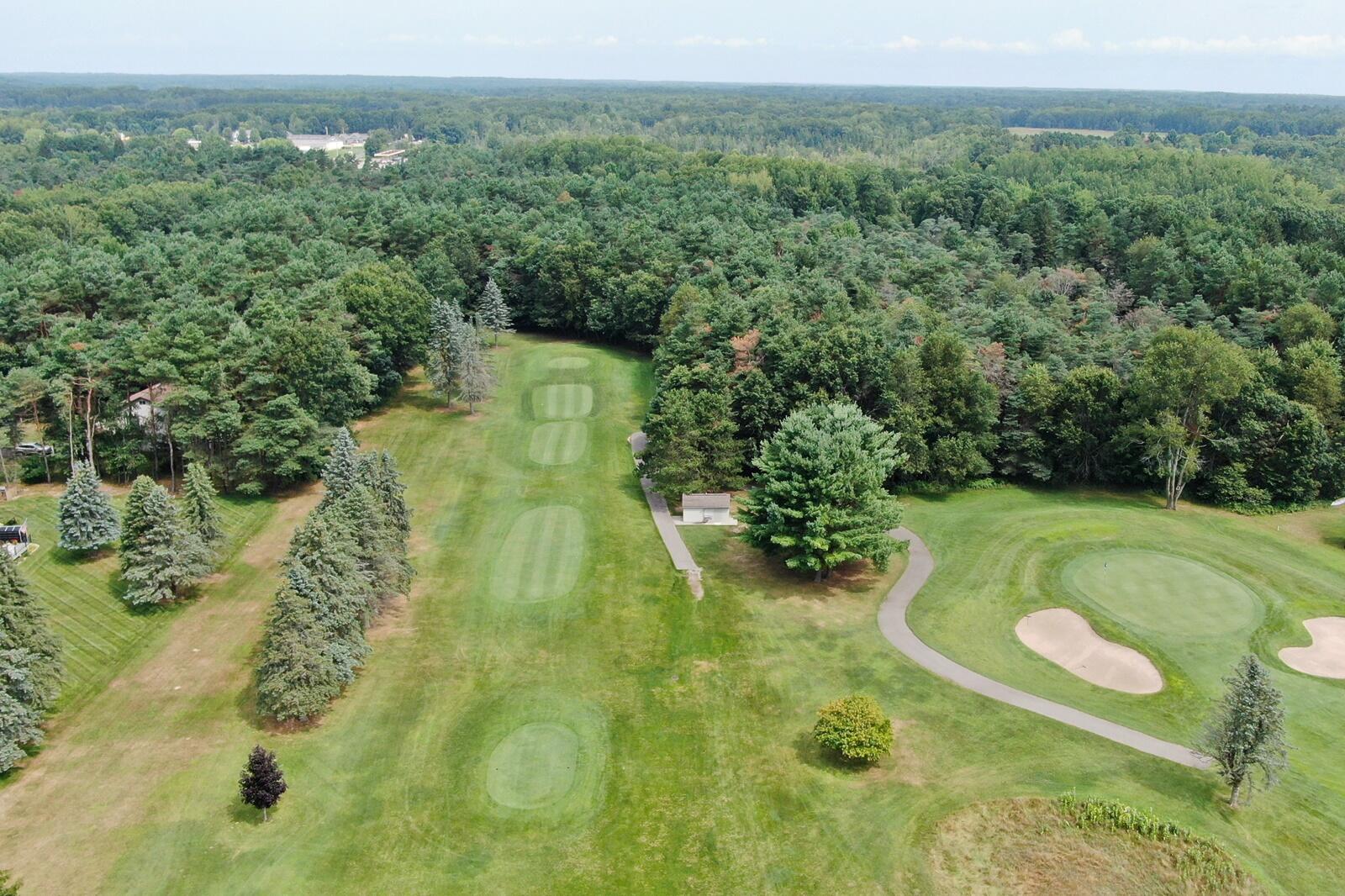 7882 Red Fox Road Canadian Lakes, MI 49346 - Photo 7 of 11 7