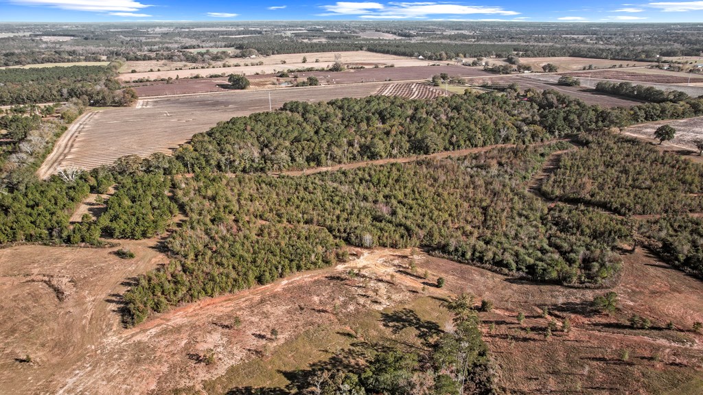 0 Gilley Mill Road Headland, AL 36345 - Photo 4 of 14