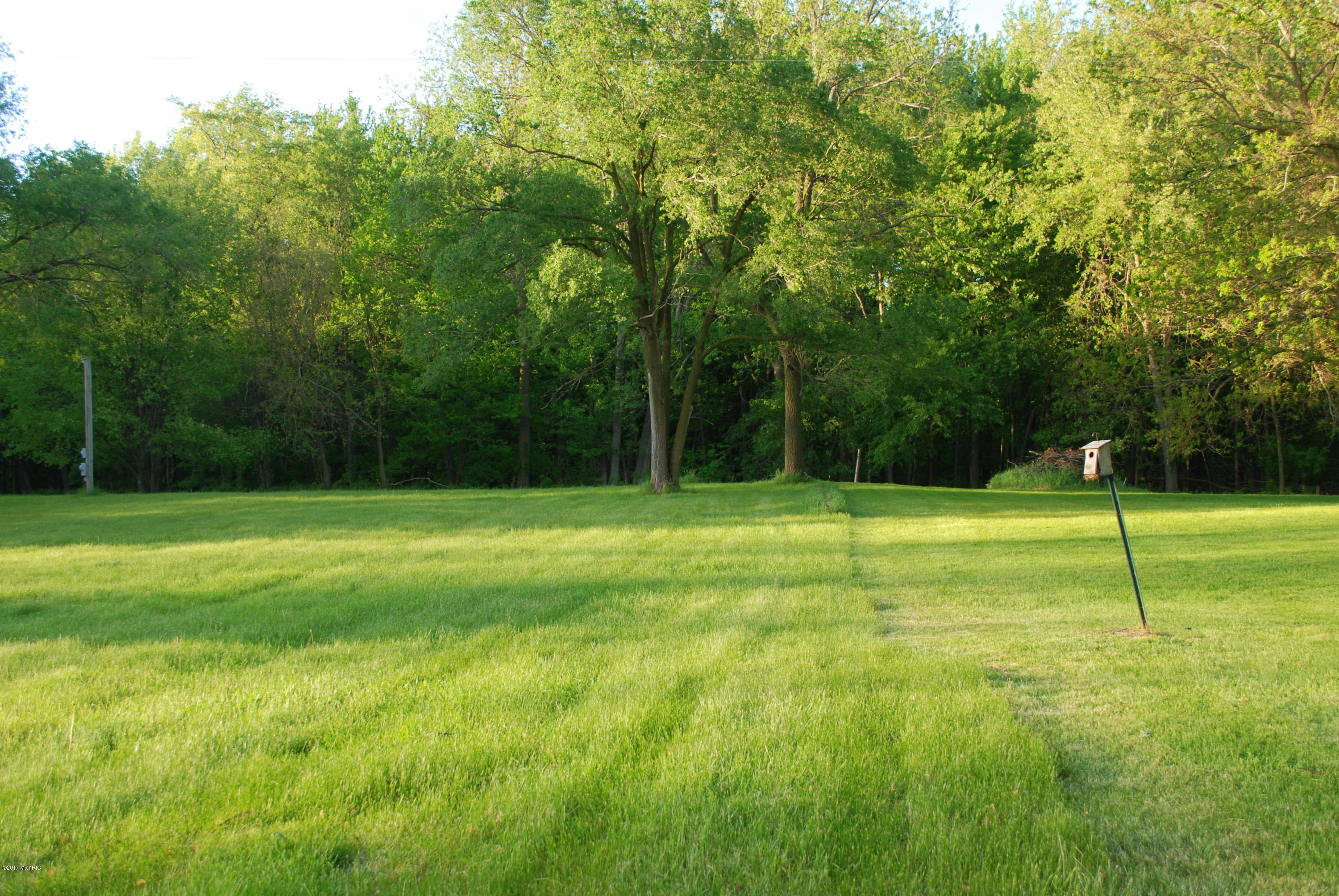 254 East Rose Road Coldwater, MI 49036 - Photo 6 of 12 DSC_0889