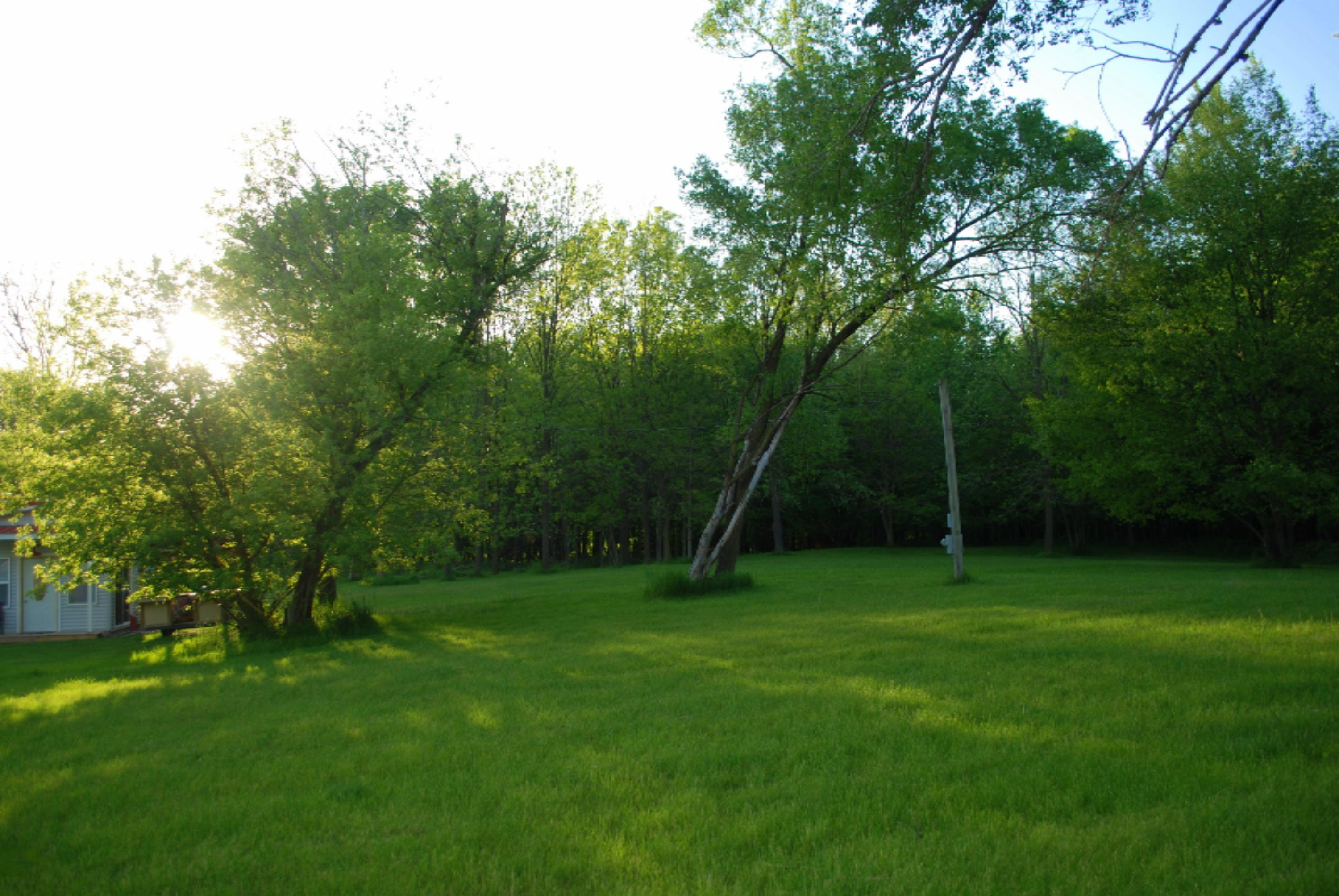 254 East Rose Road Coldwater, MI 49036 - Photo 7 of 12 DSC_0890