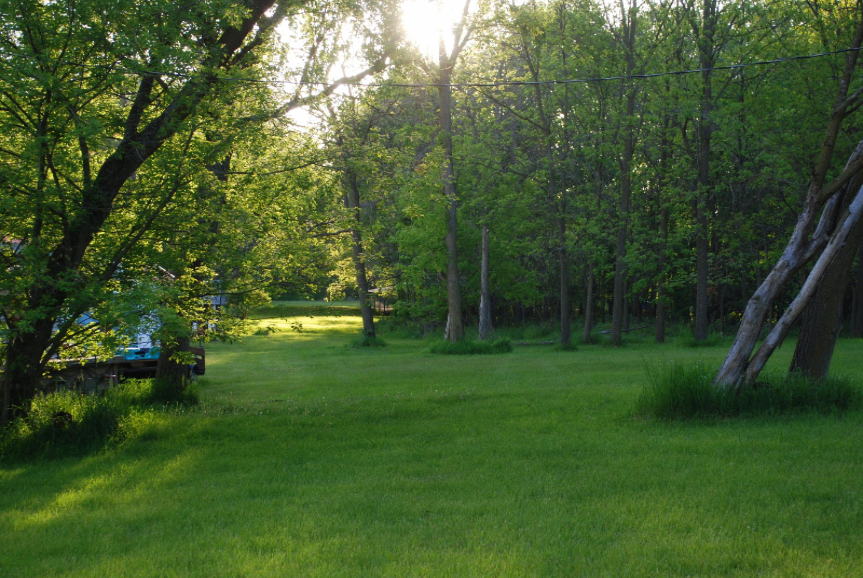 254 East Rose Road Coldwater, MI 49036 - Photo 8 of 12 DSC_0891