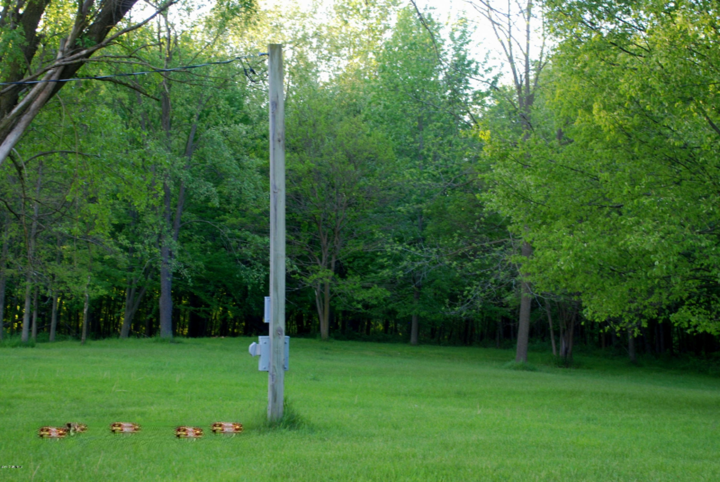 254 East Rose Road Coldwater, MI 49036 - Photo 9 of 12 DSC_0892