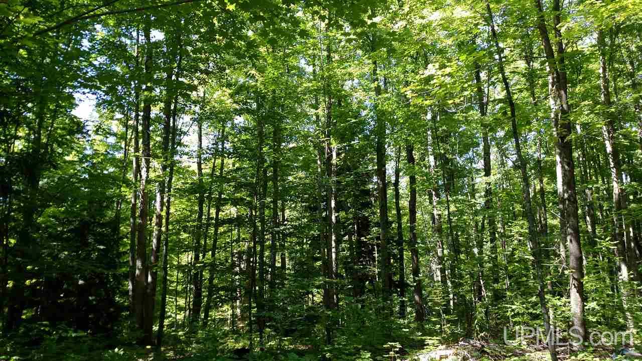 3746 Maatta Road Toivola, MI 49965 - Photo 29 of 36 Gallery Image 29