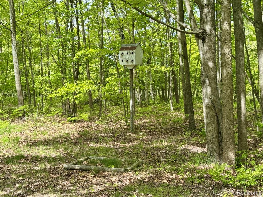 499 East Winegars Road Gladwin, MI 48624 - Photo 4 of 33 Gallery Image 4
