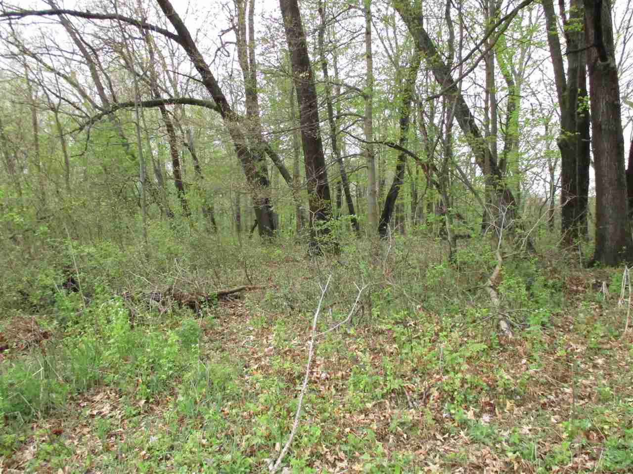 11162 Luttenton Road Hanover, MI 49241 - Photo 15 of 23 Photo 15