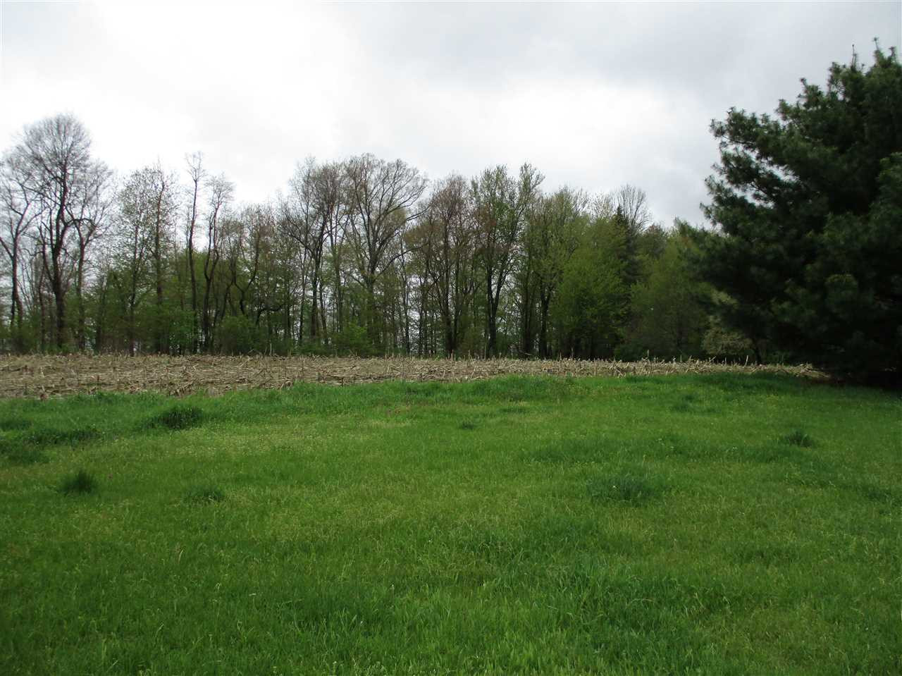 11162 Luttenton Road Hanover, MI 49241 - Photo 9 of 23 Photo 9