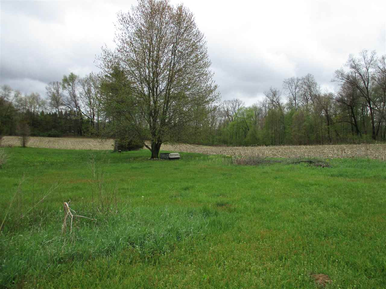 11162 Luttenton Road Hanover, MI 49241 - Photo 10 of 23 Photo 10